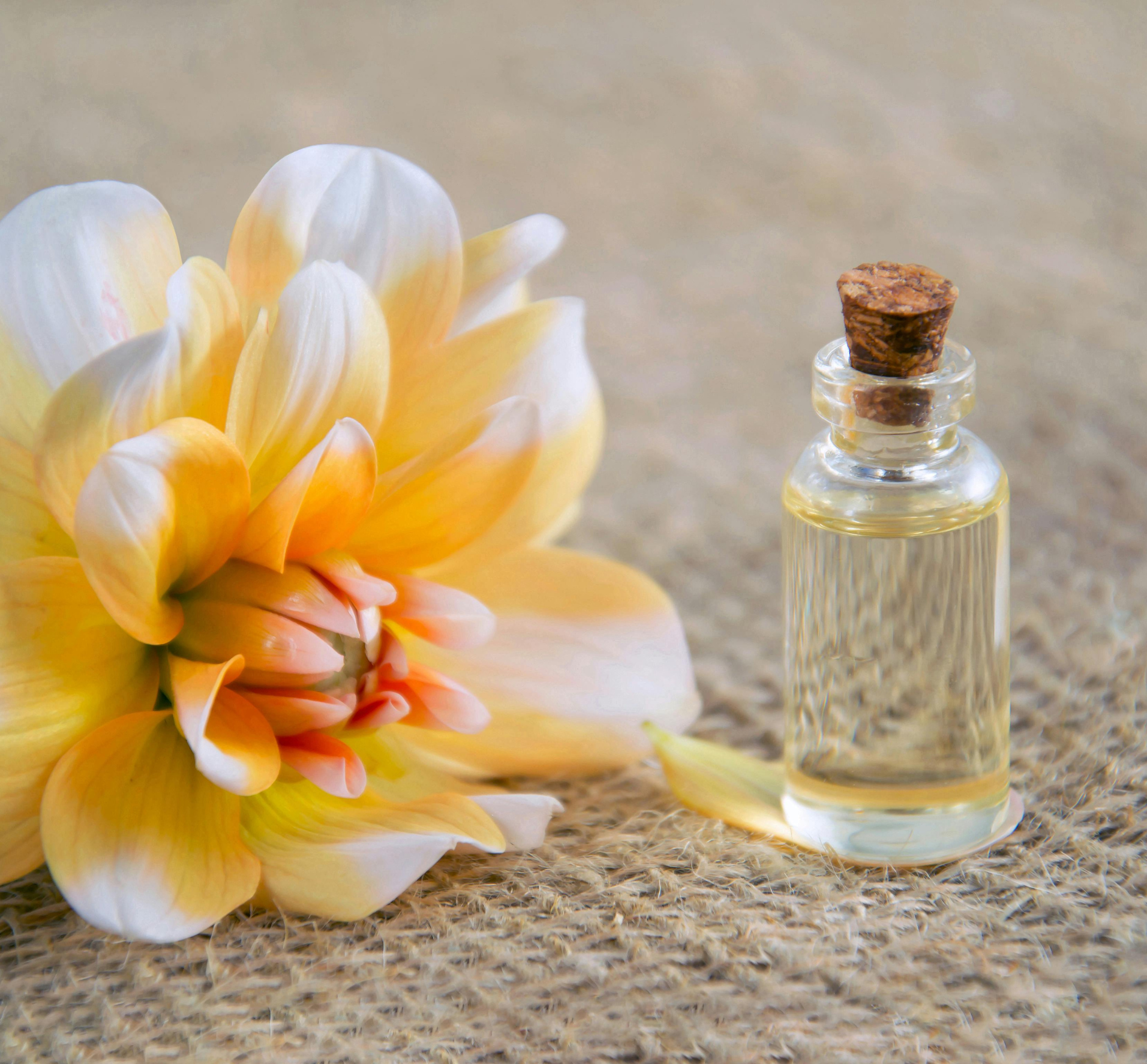 Luxury oud bottles Fahhad Perfume